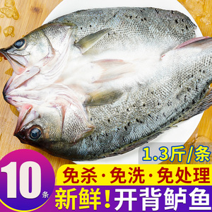 海鲈鱼开背新鲜冷冻白蕉特大七星深海腌制海鱼烤鱼半成品商用批发