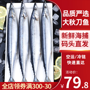 秋刀鱼冷冻包邮12条装新鲜鱼鲜活海鲜水产海捕深海鱼日式烧烤食材