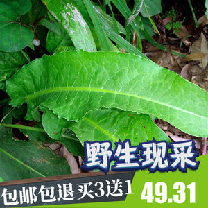 黄牛酸-淘宝拼多多热销黄牛酸货源拿货 - 阿里巴巴货源