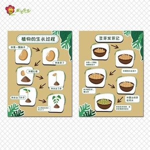 幼儿园春天春季主题墙环创布置墙贴植物区自然角装饰种子成长过程