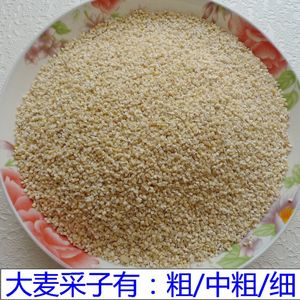 五谷粗粮大麦采子大麦渣大麦糁子大麦彩子优质杂粮熬粥煮饭都可