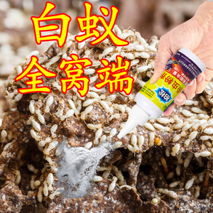 广昆白蚁防治专用药传染白蚁药全窝端家用白蚁药粉杀虫剂一巢灭