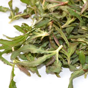 东北野生苦菜种籽子青菜苦麻菜野菜种子春夏四季阳台盆栽蔬菜种孑