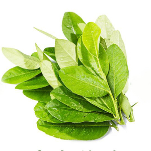 柠檬叶新鲜 泰国冬阴功汤料 西餐调味料 香料 纯叶250g 火锅配料