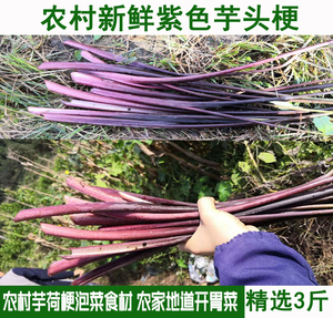 芋荷杆新鲜芋蒙芋头杆农家自种野外紫红芋梗制作腌酸泡菜3斤包邮