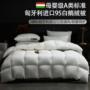 波司登02联名羽绒被95白鹅绒被子冬被春秋冬季被芯棉鸭绒加厚酒店