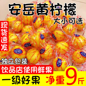 四川安岳黄柠檬一级果皮薄多汁当季水果香柠檬大中小整箱包邮5斤