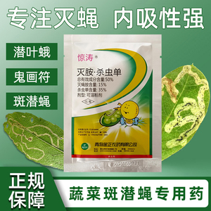 蔬菜植物鬼画符美洲斑潜蝇铁线莲斑潜蝇黄瓜菜豆豆角潜叶蝇杀虫剂