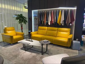 domicil沙发多米秀德国进口真皮休闲电动功能全系列家具专柜正品