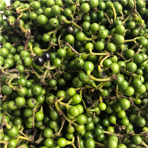 山胡椒新鲜木姜子新鲜山胡椒酱新鲜野生山苍子木浆子粒500g包邮