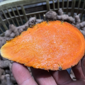 包邮 越南新鲜黄姜块月婆鸡汤 配用东南亚特色调味酱香料品取色染