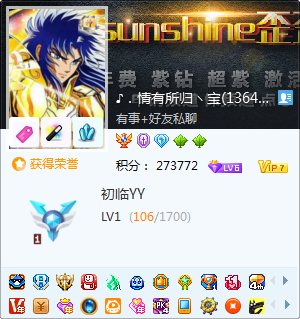 yy图标尾灯勋章点亮/翅膀金龙金色靓豪字图标/成长值/积分/紫v