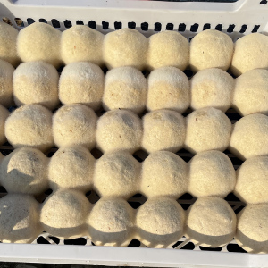 豆渣球豆渣坨豆渣粑霉豆渣霉渣球霉渣煮汤霉豆腐安徽宣城特产15个