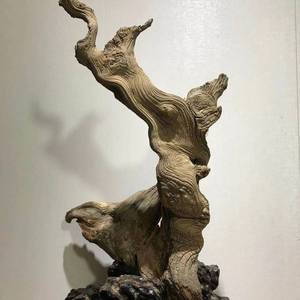 直播选货太行崖柏毛料精品陈化料坨坨白粉红骨黑骨根雕摆件手把件