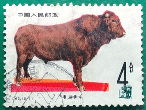 T63畜牧业—牛秦川黄牛纯信销散票4分（6-1）随机特种邮票