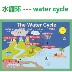 水循环示意图英语图片