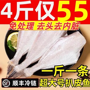 耗儿鱼新鲜特大扒皮鱼剥皮鱼老鼠鱼火锅食材商用马面鱼玻璃鱼海鲜