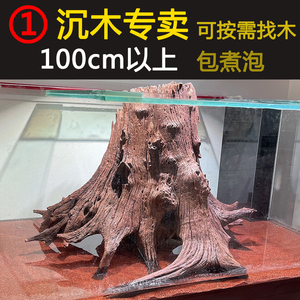 沉木枝条南美