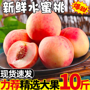 水蜜桃10斤桃子水果新鲜当季整箱应季现摘孕妇水果脆甜毛桃5包邮