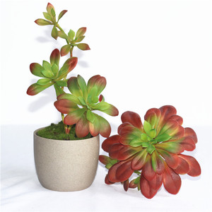 仿真塑胶花摆件 商店垂吊植物盆栽塑料吊滕黑法师假绿植多肉装饰