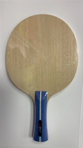 郗恩庭少儿训练底板