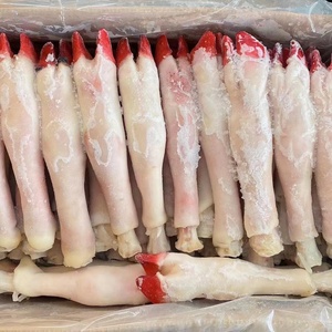 新鲜冷冻羊蹄羊蹄净重15斤箱生羊蹄清真烧烤食材40个左右