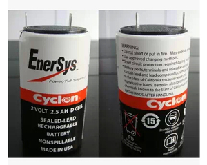 适用 佳士比3100 ENERSYS 2V 2.5A,0810-0004 ,842-1000电池