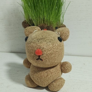 栽摆件迷你幼儿园儿童种植幸运头上长草植物草头娃娃桌面可爱小盆