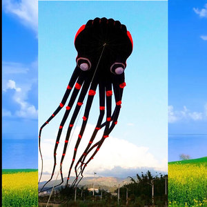 包邮 正品 新款 大型软体风筝 30米黑保罗立体吸盘章鱼风筝超炫丽