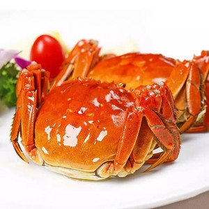 【野泥】黄陂湖新鲜大螃蟹鲜活大闸蟹活体八只公3两母2两六月黄