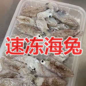 鲜活冷冻小海兔新鲜海兔子笔管鱼水兔墨鱼乌贼海鲜烧烤火锅400g