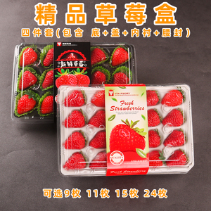 一次性精品草莓分格塑料包装盒高档带内托防震透明打包盒礼品盒