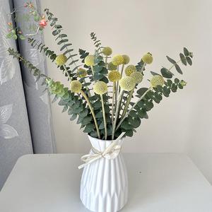 云南新鲜尤加利叶黄金球鲜花干花家用高档创意插花婚庆搭配用花