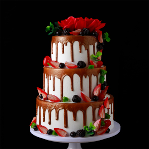 三层蛋糕模型