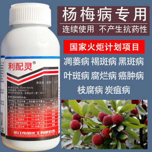 杨梅专用杀菌剂凋萎病褐斑病黑斑病叶斑病腐烂病癌肿病枝腐病农药