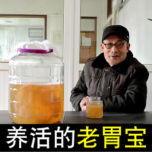 传统正宗优质红茶菌菌母醋蛾子胃宝海宝菌种红茶菌菌种