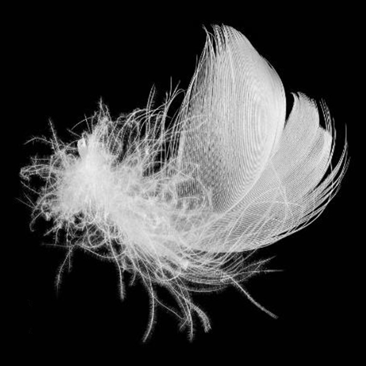 羽绒白鹅填充物散装大朵鸭绒绒水洗90国l标白鸭绒羽绒毛被服原料