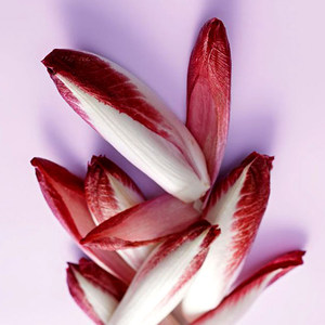 远东春生鲜 新鲜蔬菜 红玉兰菜 紫色 软化菊苣 京津冀满68包邮