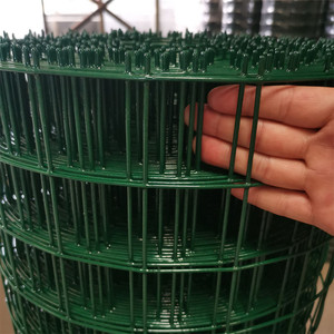 铁网格网绿色硬铁丝网超密铁网子围栏拦鸡网养殖网窗户防护网钢丝