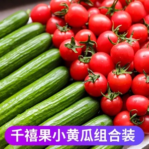 新鲜圣女果水果小黄瓜组合5斤千禧樱桃番茄生吃青瓜蔬菜西红柿子3