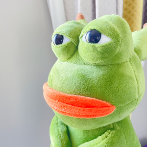 bibig的杂货铺搞怪悲伤蛙大眼表情包抱枕青蛙公仔玩偶女生日礼物