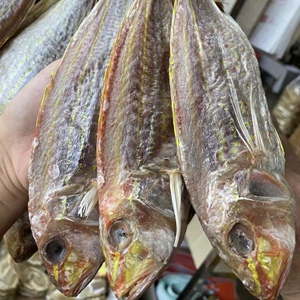 阳江一夜埕 咸鱼 自家渔船 自家腌制 纯手工 零添加 500g