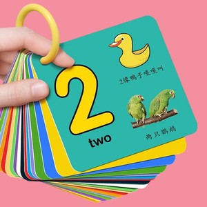 数字卡片1到10大一到一百的数字宝宝学数字拼音早教卡0-3-6岁彩色