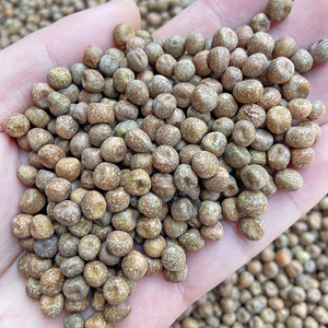 鸽粮 进口枫豆优质花豌豆幼鸽粮食鸽子豌豆信鸽子饲料麻豆 500g