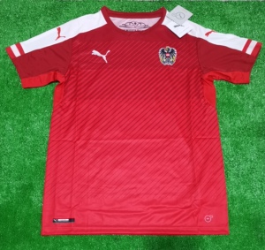 puma 奥地利 大童儿童青少年短袖球迷版足球服 冷门球衣 748685