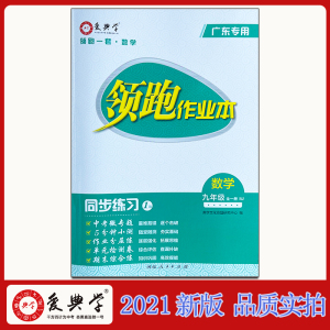 正版领跑作业本数学九年级全一册同步练习领跑一套广东专用爱典学