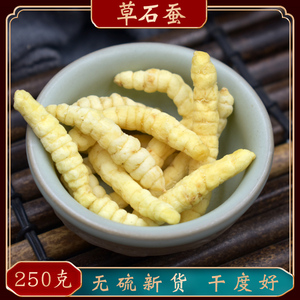 草石蚕250g中药材草石蚕干 甘露子 螺丝菜 宝塔菜 地蚕泡酒石蚕