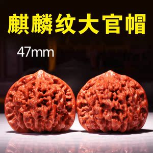 玩物核桃