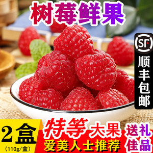 红树莓鲜果孕妇水果覆盆子稀有热带云南怡颗莓新鲜大树梅顺丰当季