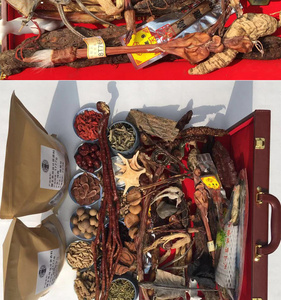 大鞭王男性补肾强身泡酒壮阳药材壮阳果男人中药材料药酒套装料包